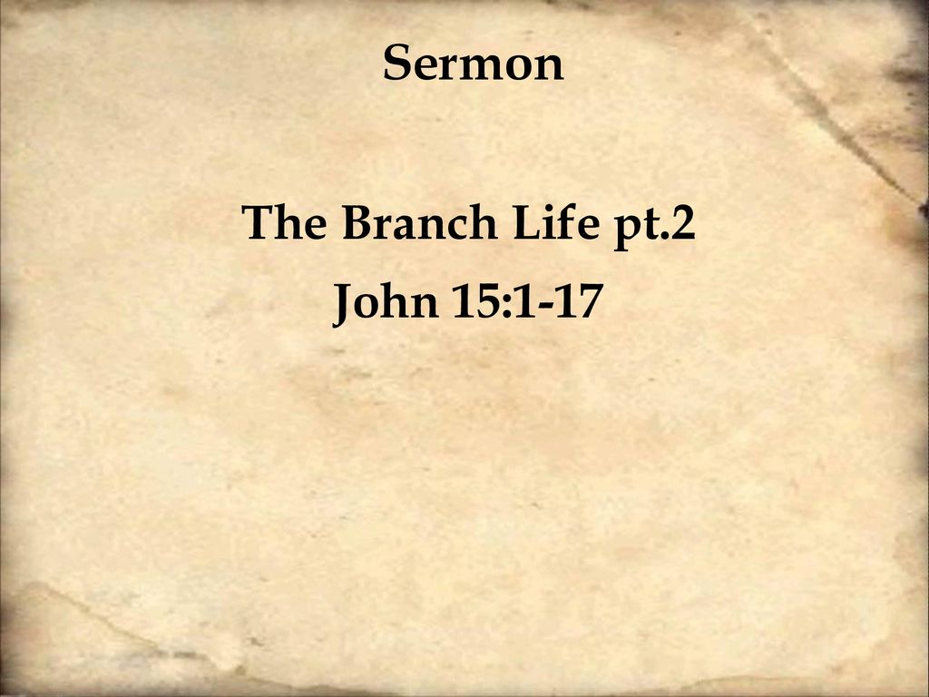 The Branch Life pt.2 John 15: ppt download