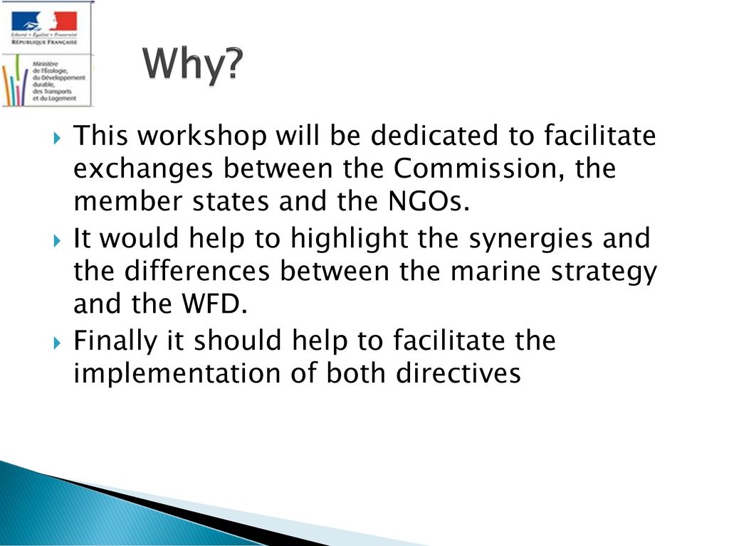Why This workshop will be dedicated to facilitate exchanges between the Commission, the member states and the NGOs.