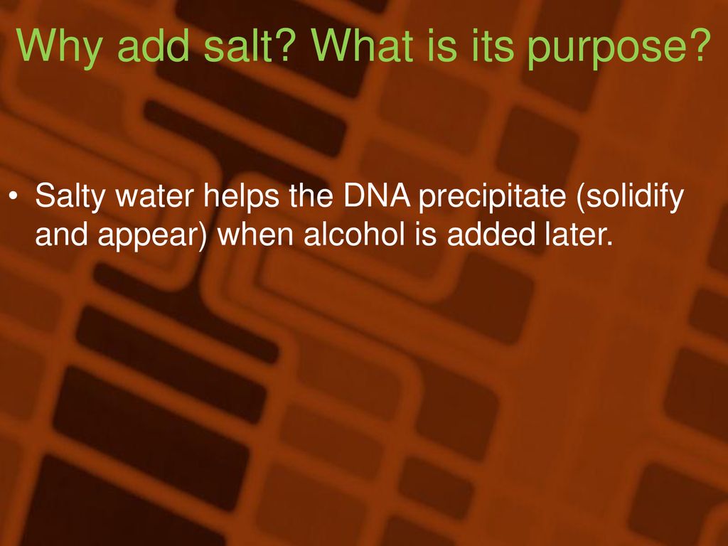 HOW TO EXTRACT DNA FROM ANYTHING LIVING Ppt Download warm-water-vs-cold-water-which-one-is-best-for-your-health-rise
