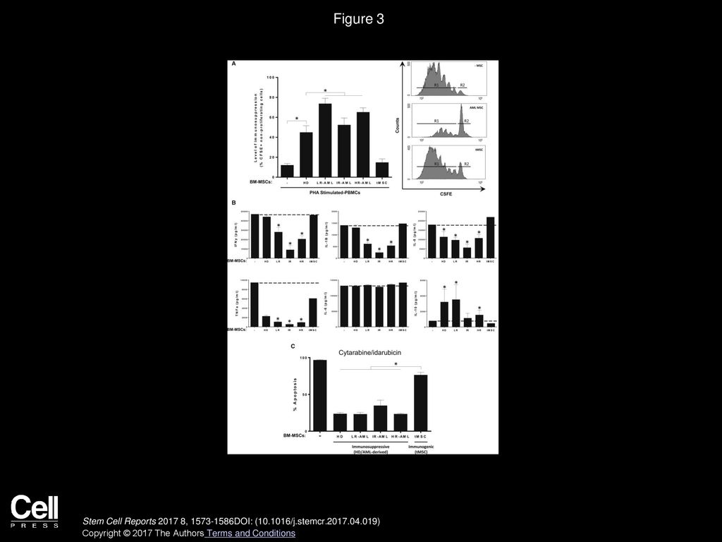 Figure 3 In Vitro Immunosuppressive and Anti-Inflammatory Properties of BM-MSCs from HDs and AML Patients.