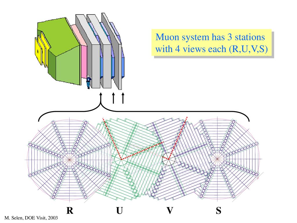 Muon system has 3 stations with 4 views each (R,U,V,S)