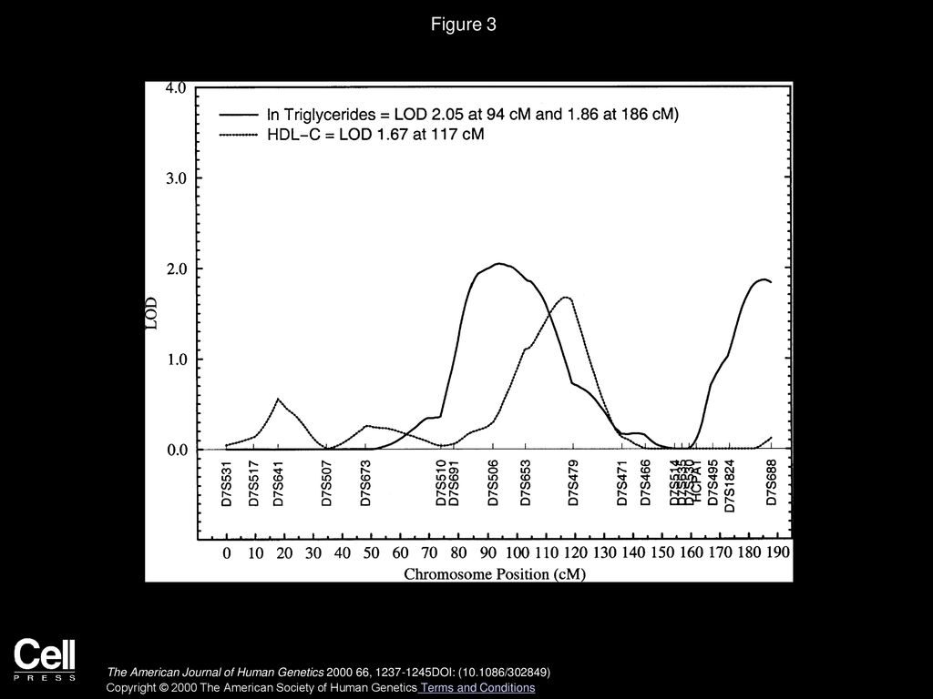 Figure 3 Plot of LOD scores obtained for ln TG and HDL-C concentrations against map positions on chromosome 7.