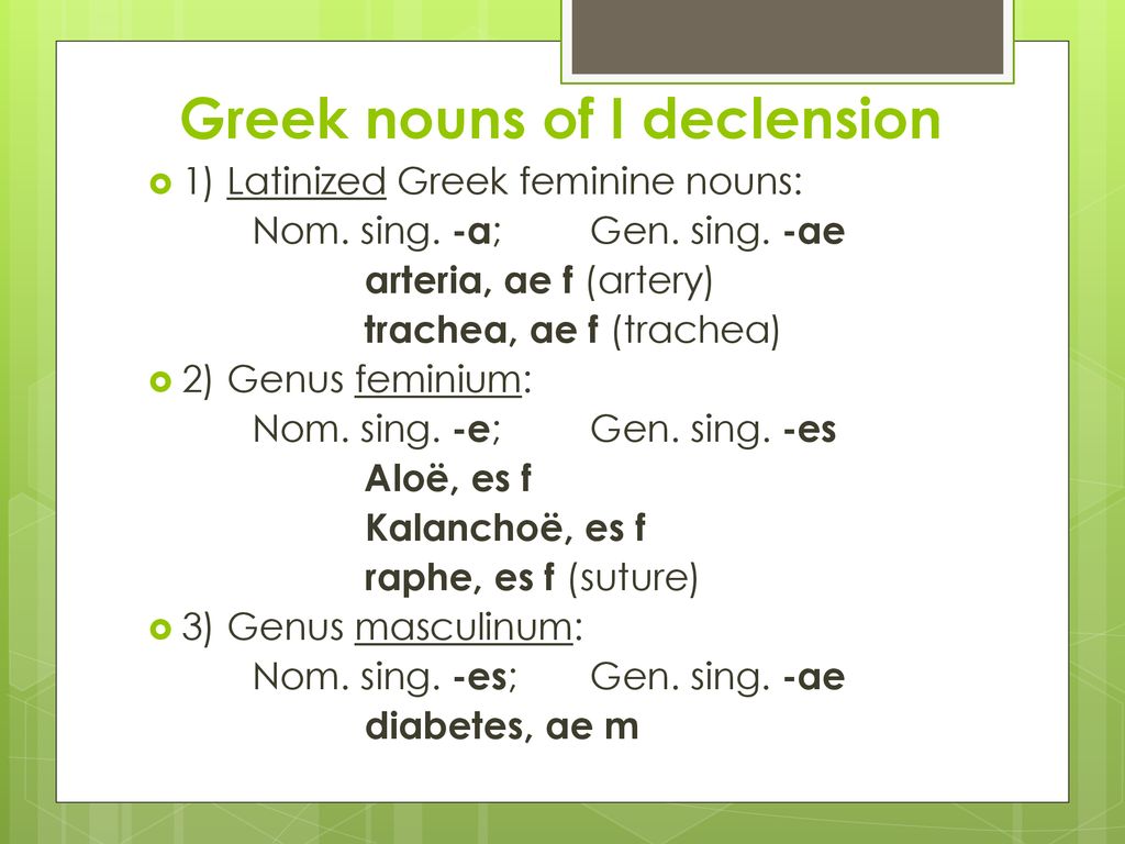 Declinatio Prima First Declension Ppt Download