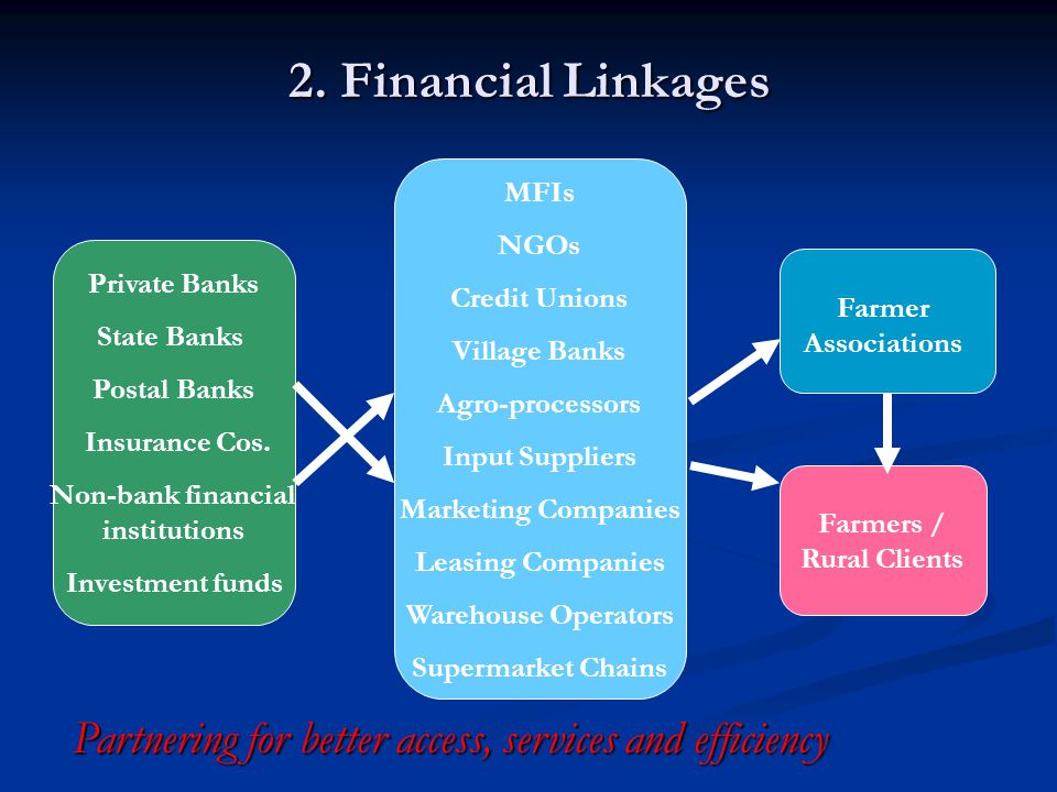 Non-bank financial institutions Farmers / Rural Clients