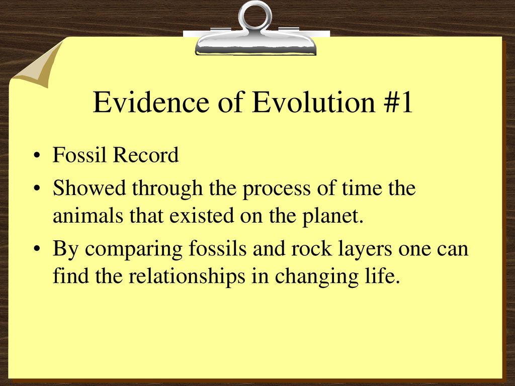 Evidence of Evolution #1