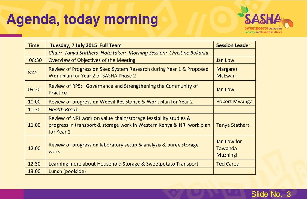SASHA PHASE 2 2ND PMT Meeting 7-8 July 2015 OVERVIEW - ppt download