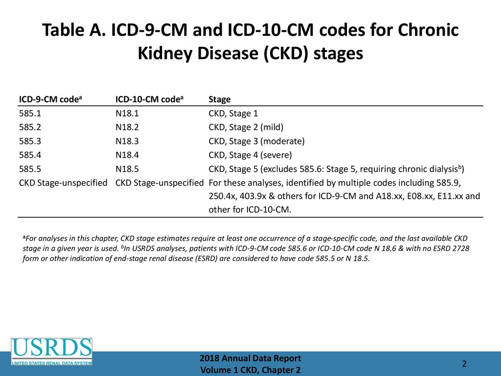 Chapter 2 Identification And Care Of Patients With Ckd Ppt Download