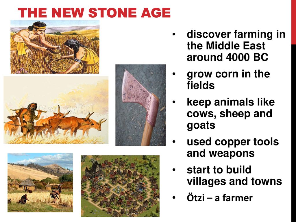 Describe the Stone Age (Use the Past Simple) - ppt download