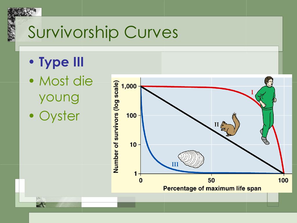 Survivorship Curves Type III Most die young Oyster