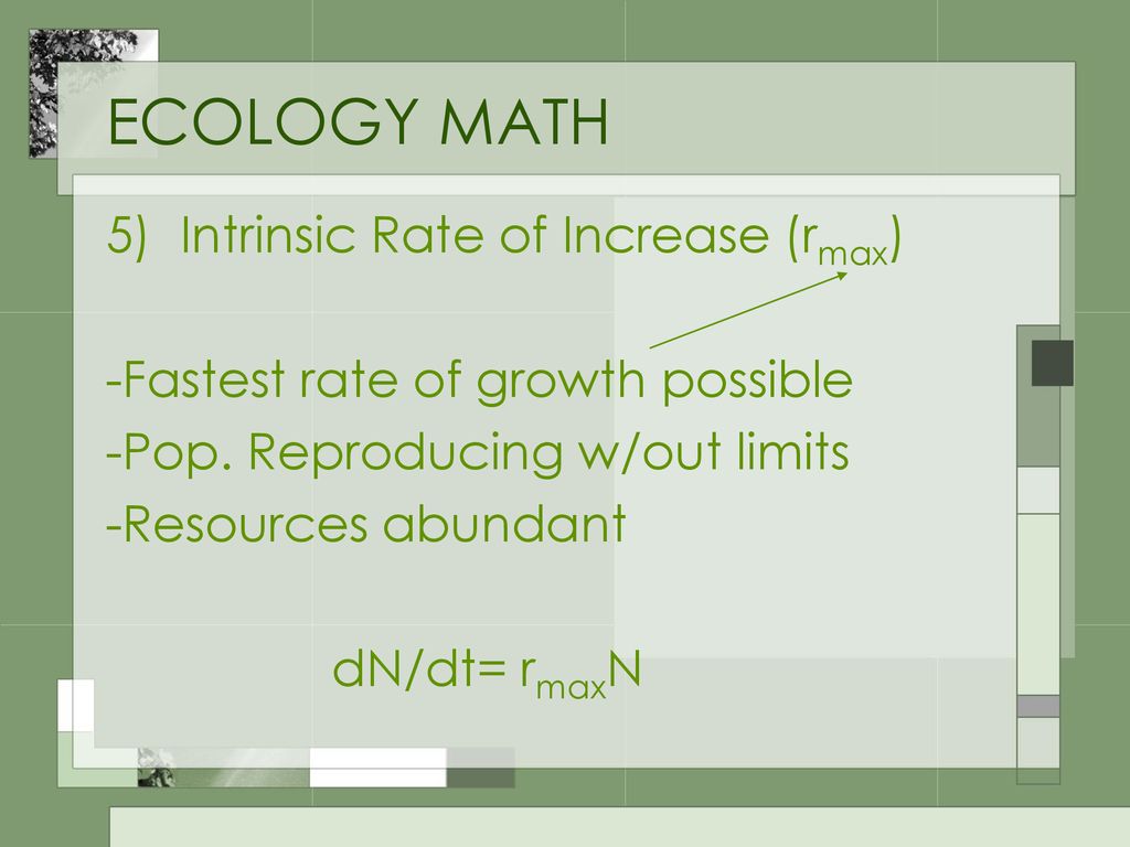 ECOLOGY MATH 5) Intrinsic Rate of Increase (rmax)