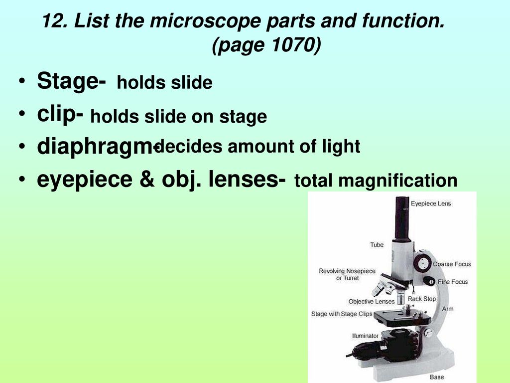 1st semester midterm ppt download