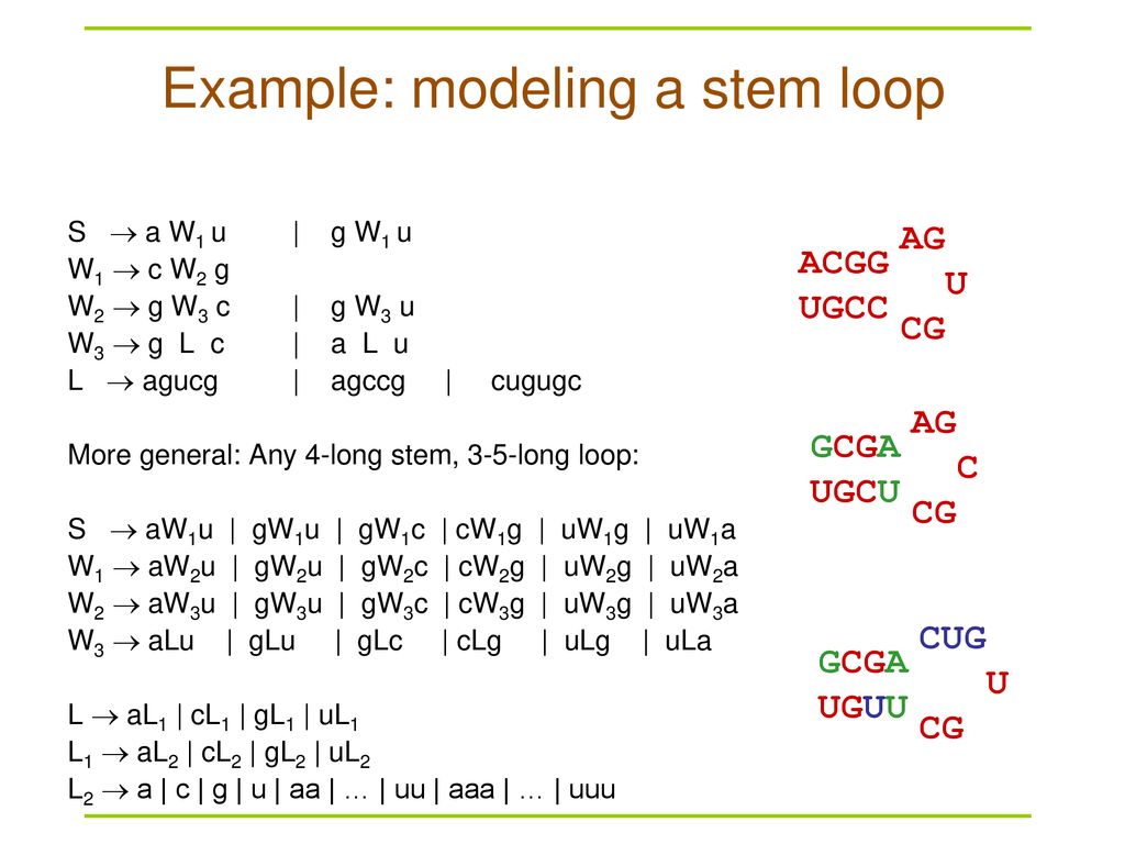 Example: modeling a stem loop