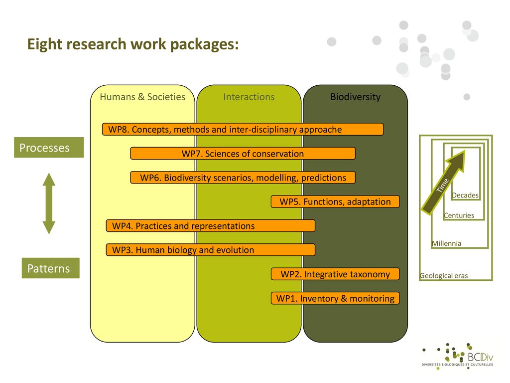 research work packages