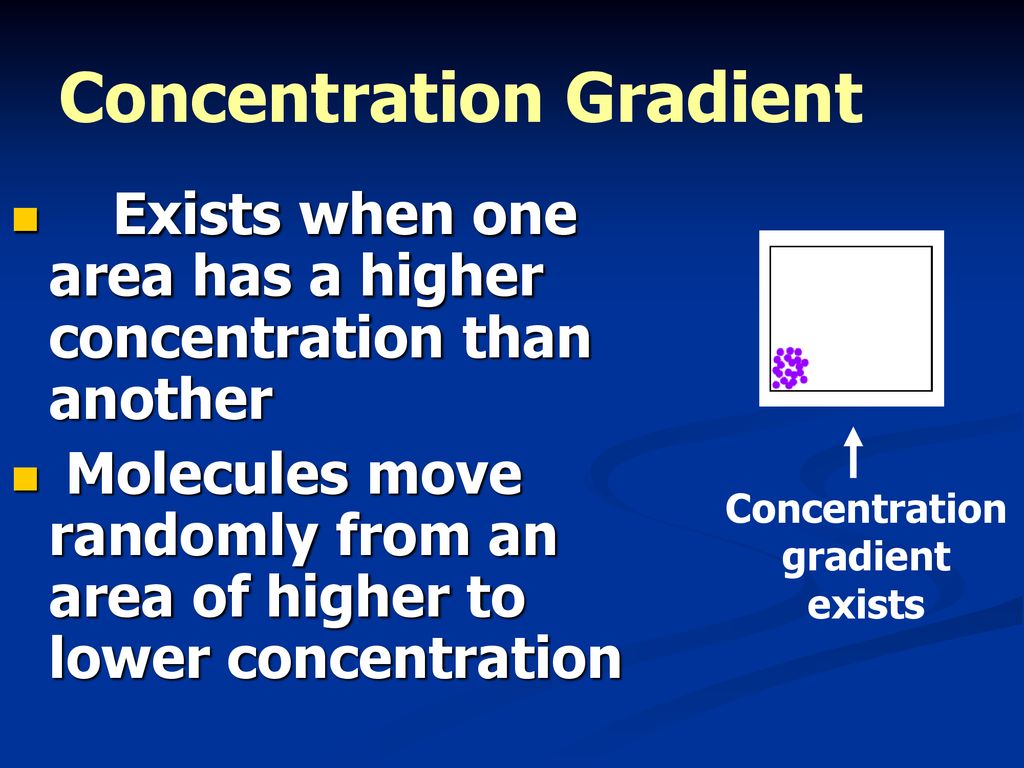 Transport in Cells. - ppt download