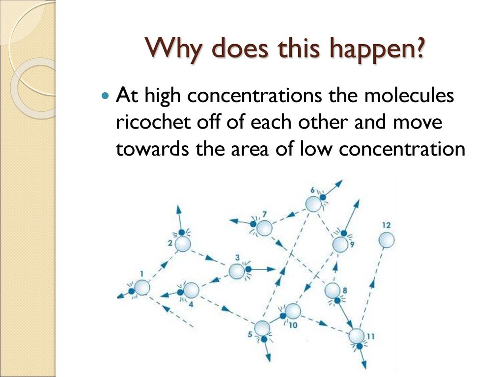 Transport Across Cell Membranes Ppt Download transport-across-cell-membranes-ppt-download