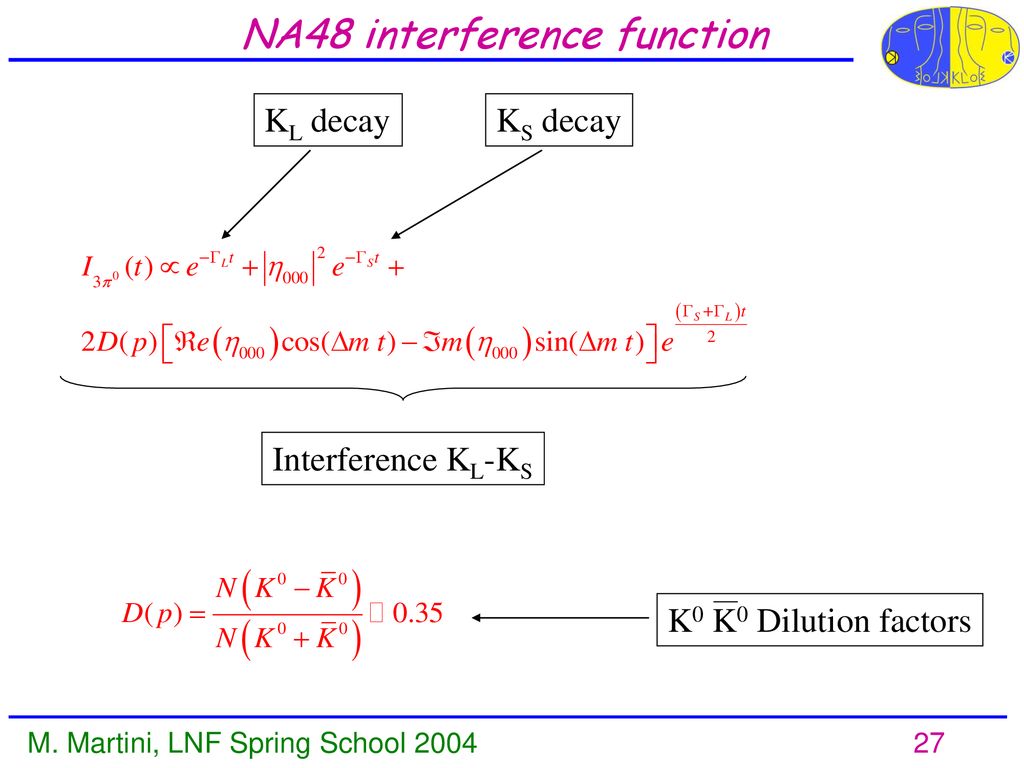 NA48 interference function