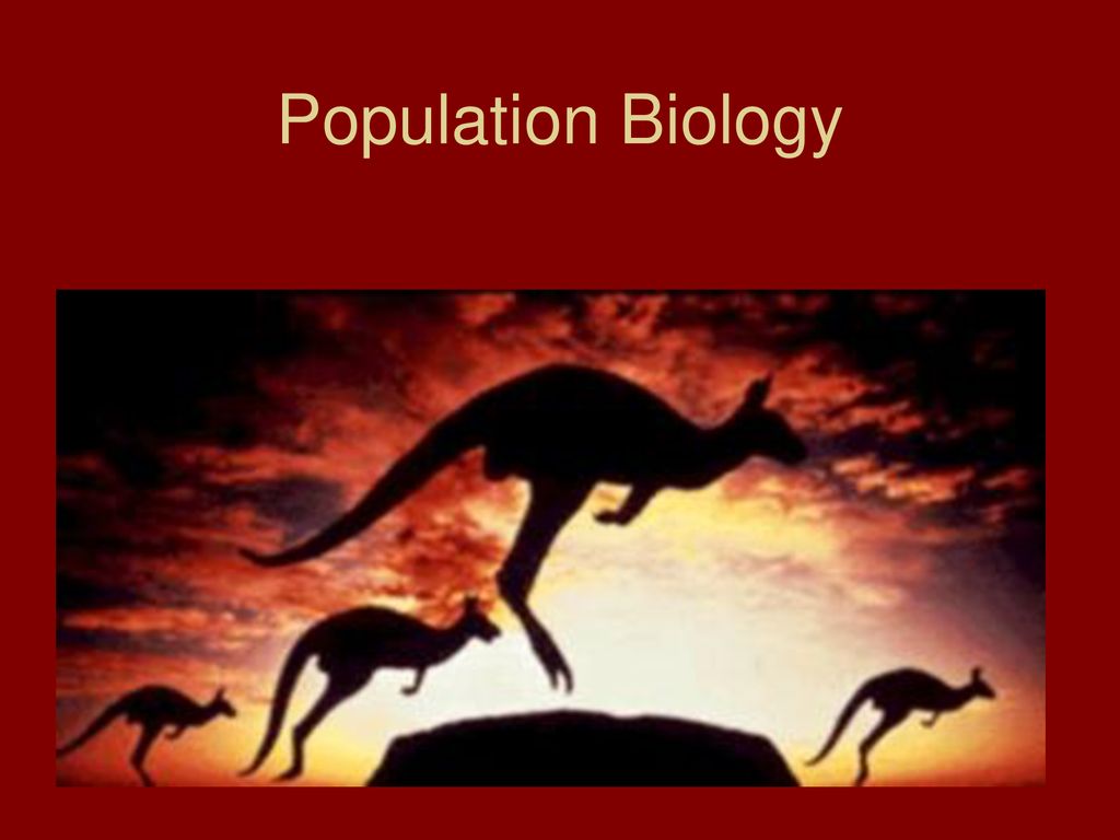 population-biology-ppt-download