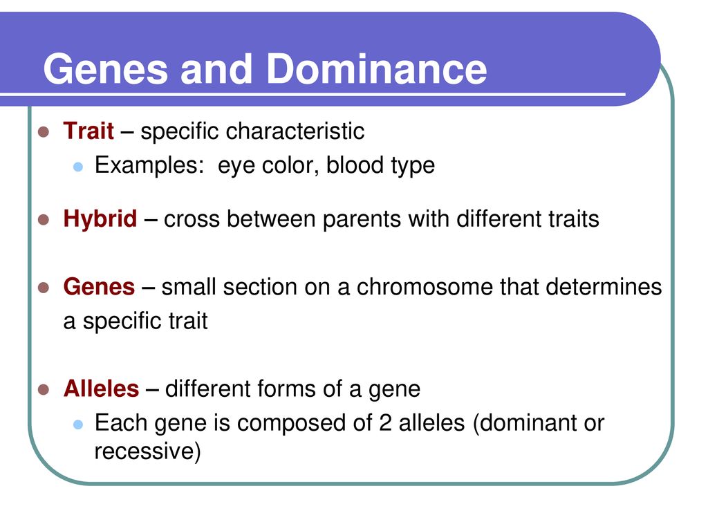 Genetics the scientific study of heredity ppt download