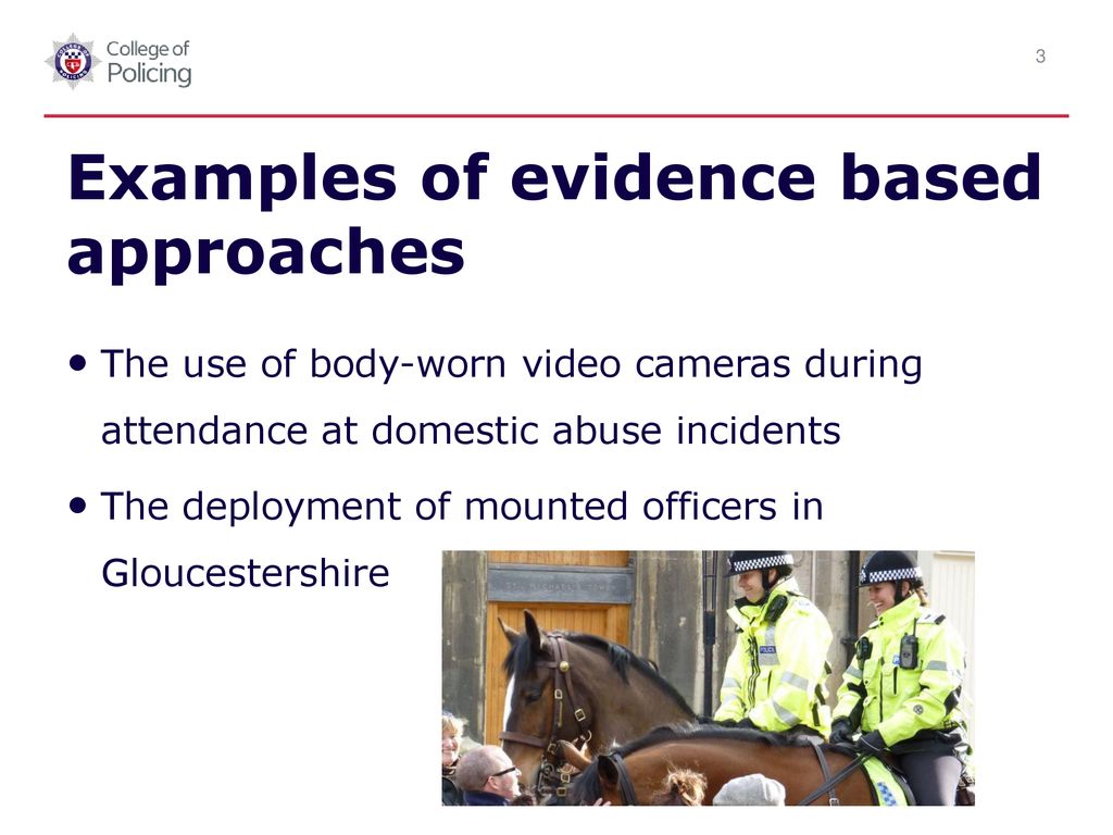 evidence based policing assignment