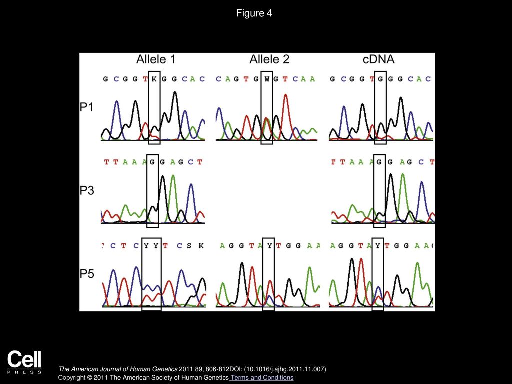 Figure 4 Sequence Analysis of TPK1