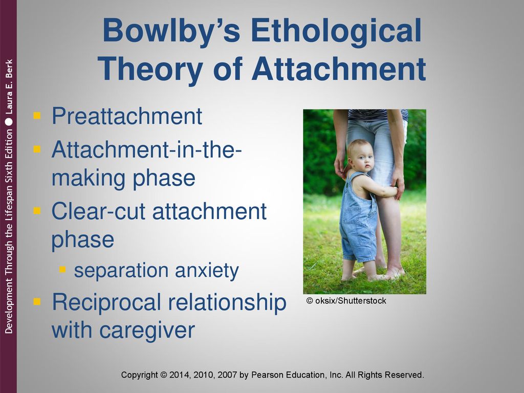 Bowlby’s Ethological Theory of Attachment