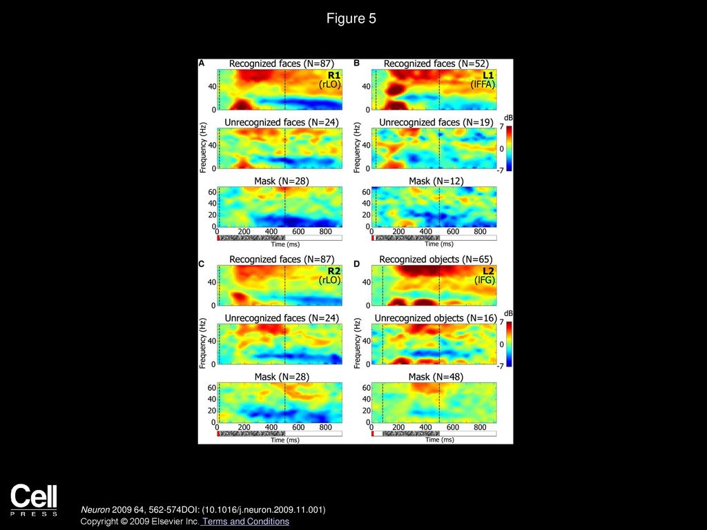 Figure 5 Average Induced Response Spectrograms of Category-Selective Electrodes in the Backward Masking Experiment.