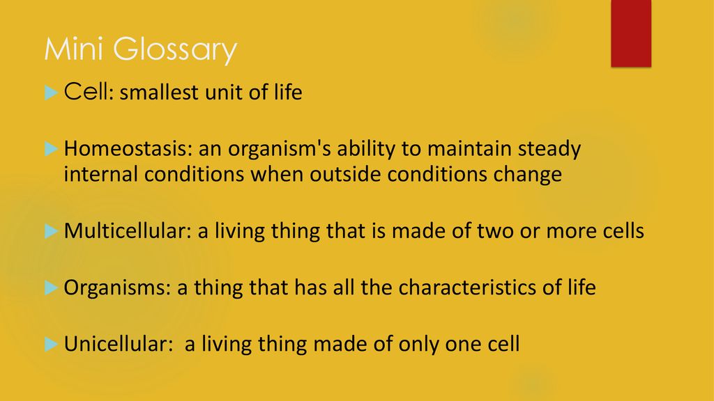 Mini Glossary Cell: smallest unit of life