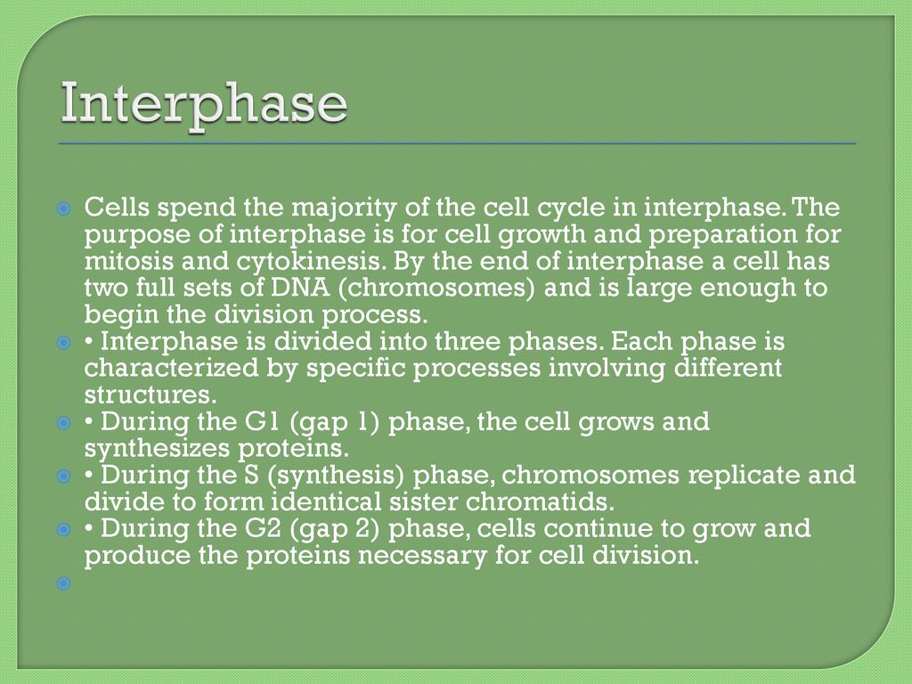 Friday, November 4th Miss Brawley. Biology Diagrams