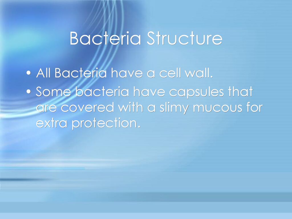 Chapter 5 The Microbial World Ppt Download chapter-5-the-microbial-world-ppt-download
