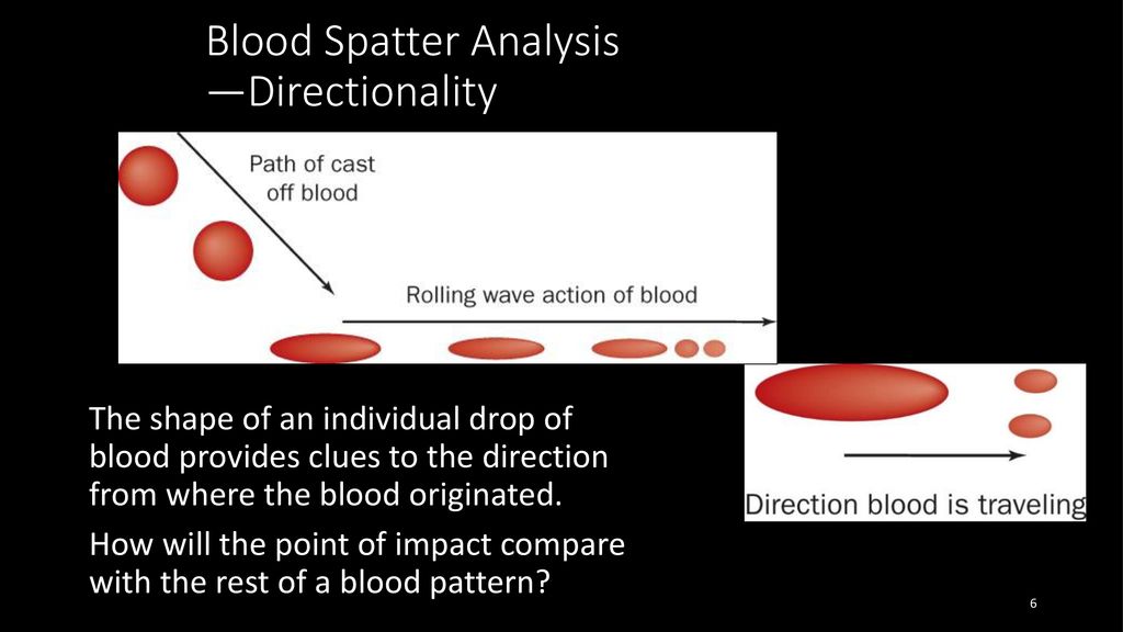 Blood Spatter Analysis - ppt download