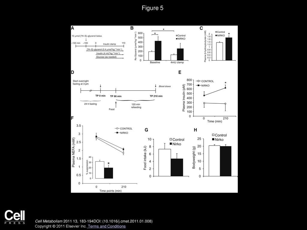 Figure 5 Genetic Disruption of Neuronal Insulin Signaling Increases Whole-Body Lipolytic Flux and Impairs the Switch from Fasting to Refeeding.