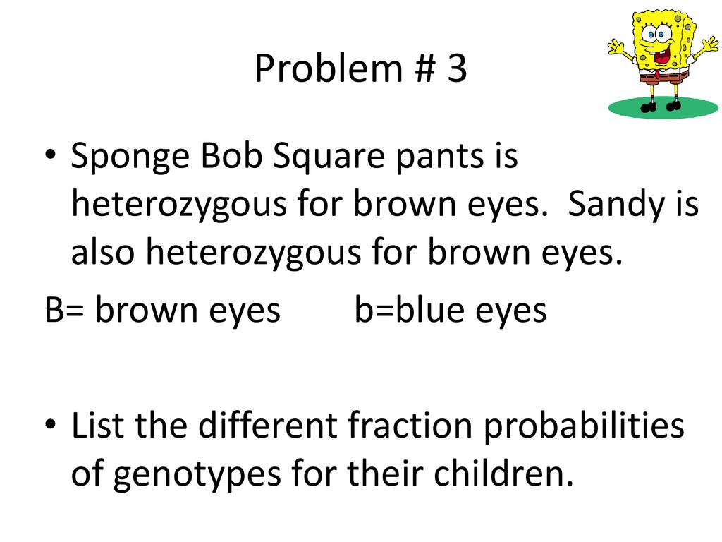 Monohybrid Practice Problems Ppt Download