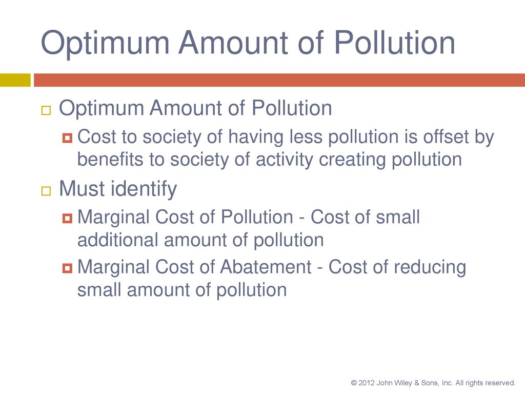 Optimum Amount of Pollution