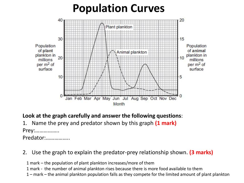 LO: Learn how to interpret population curves. - ppt download Pertaining To Population Ecology Graph Worksheet