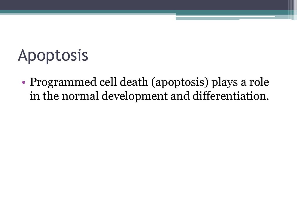 Apoptosis Programmed cell death (apoptosis) plays a role in the normal development and differentiation.