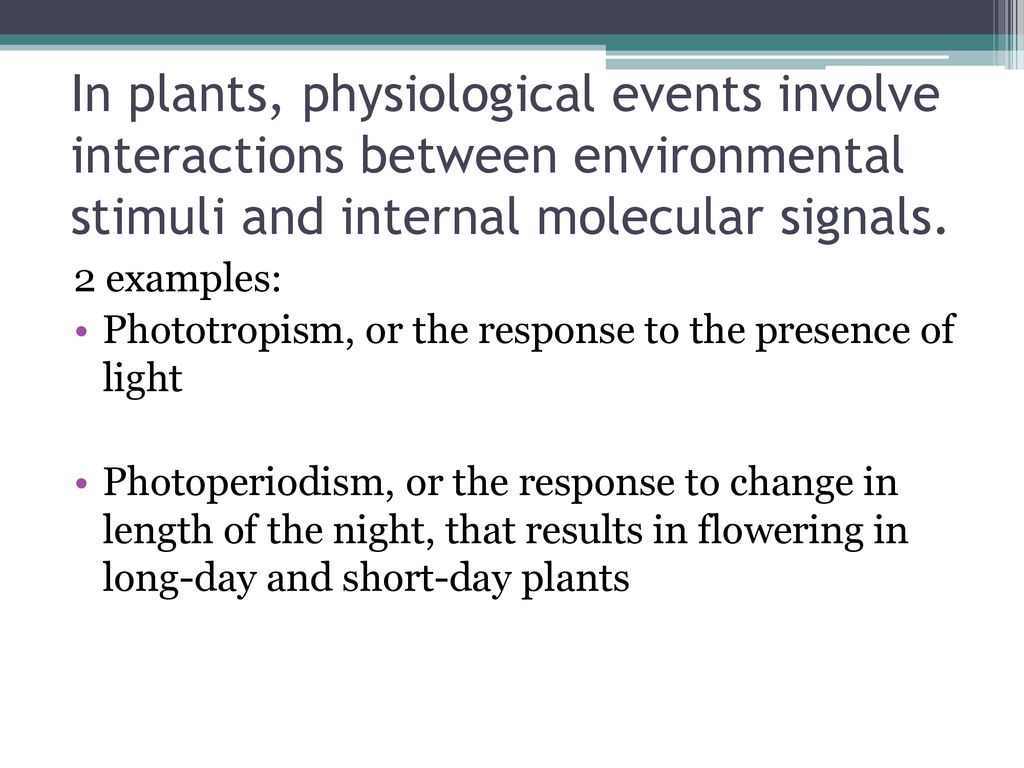 In plants, physiological events involve interactions between environmental stimuli and internal molecular signals.