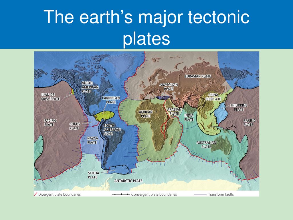 The earth’s major tectonic plates