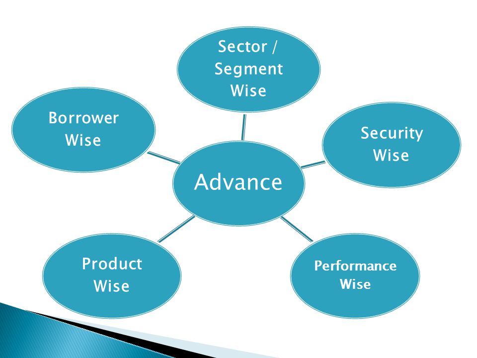 Sector / Segment Wise Security Wise Product Wise Borrower Wise