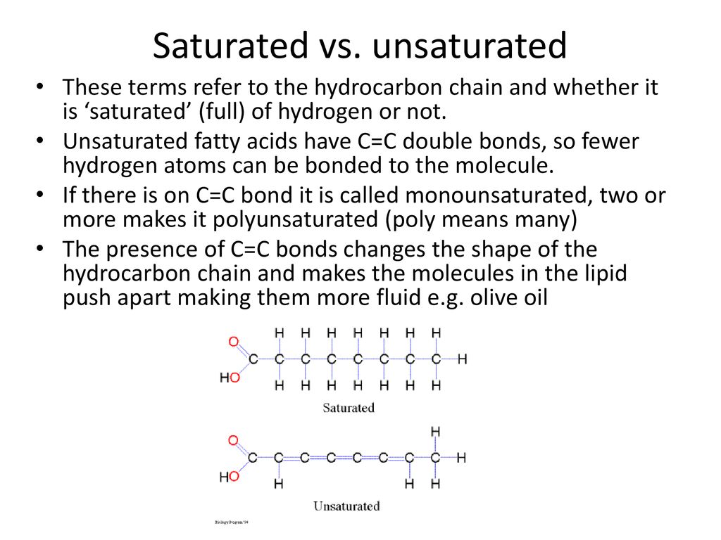 Lipids and Carbohydrates - ppt download