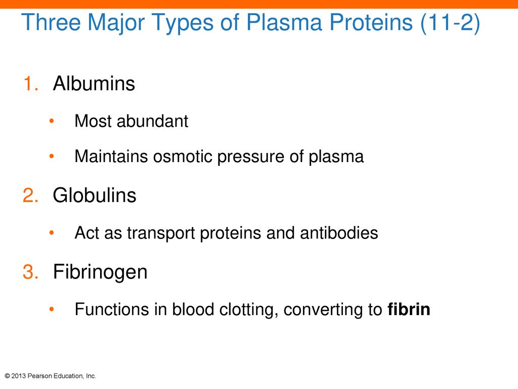 The cardiovascular system blood ppt download
