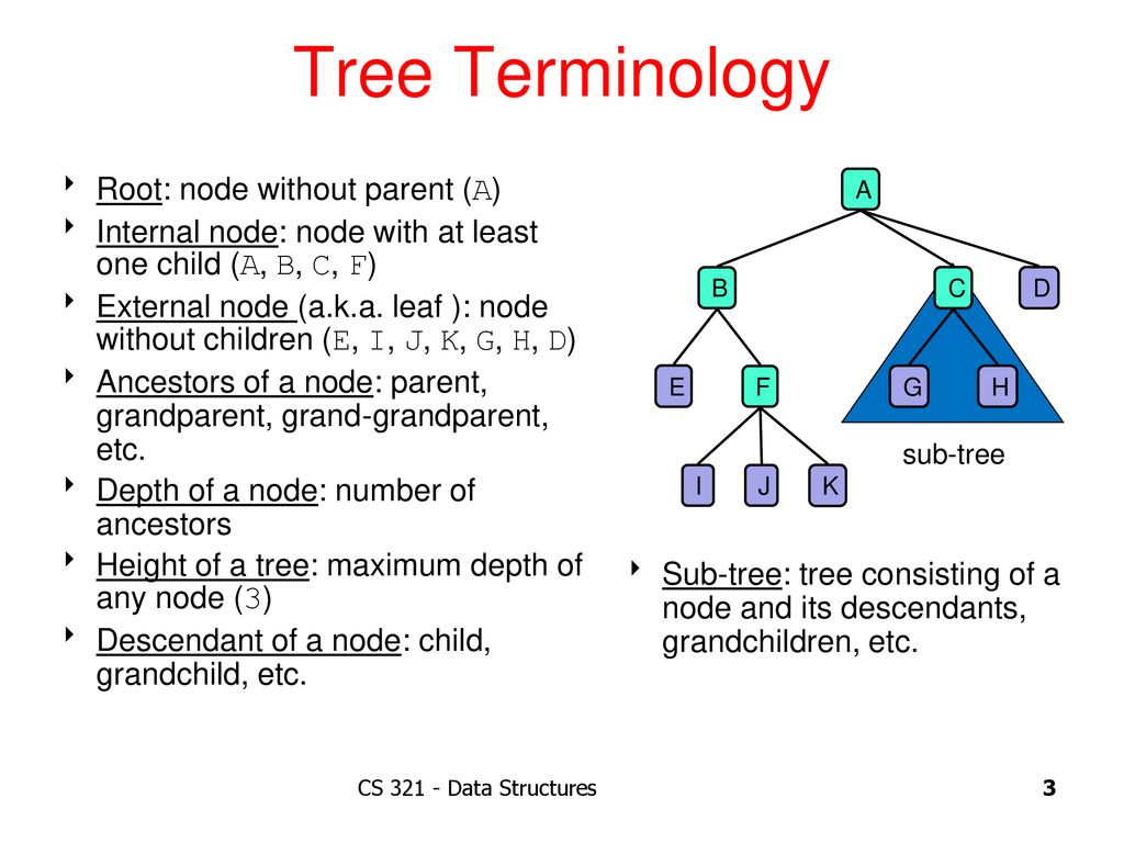Trees A Tree May Grow A Thousand Feet Tall But Its Leaves Will Return To Its Roots Chinese Proverb Clrs Section Ppt Download