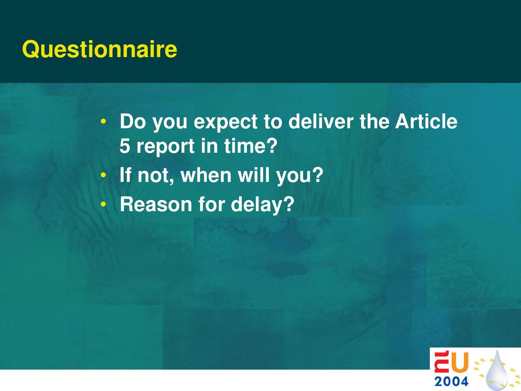 Questionnaire Do you expect to deliver the Article 5 report in time