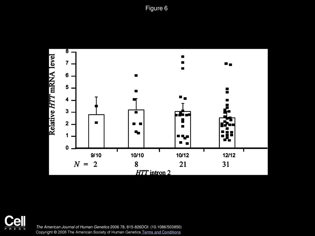 Figure 6 Relative HTT mRNA levels in lymphoblastoid cell lines with various intron 2 VNTR genotypes.