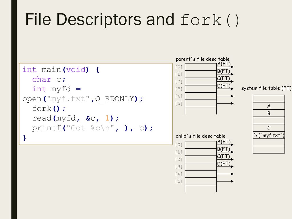 File Descriptors and fork()