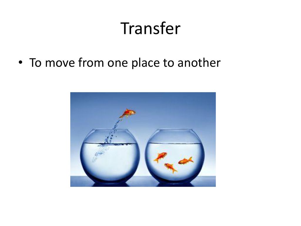Week 7 vocabulary ppt download