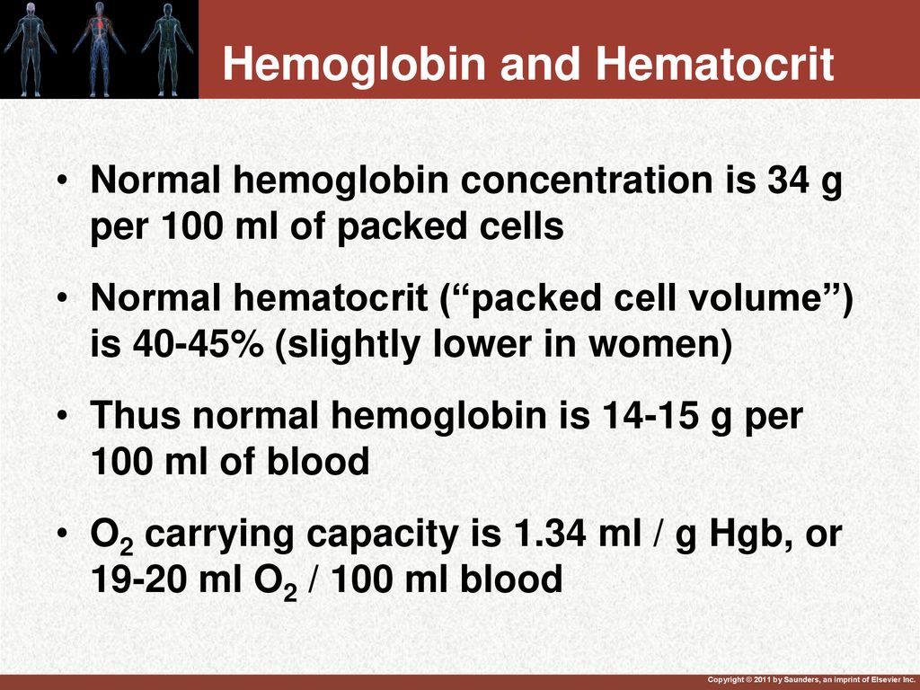 low hematocrit and hemoglobin