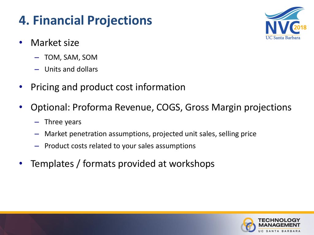 4. Financial Projections