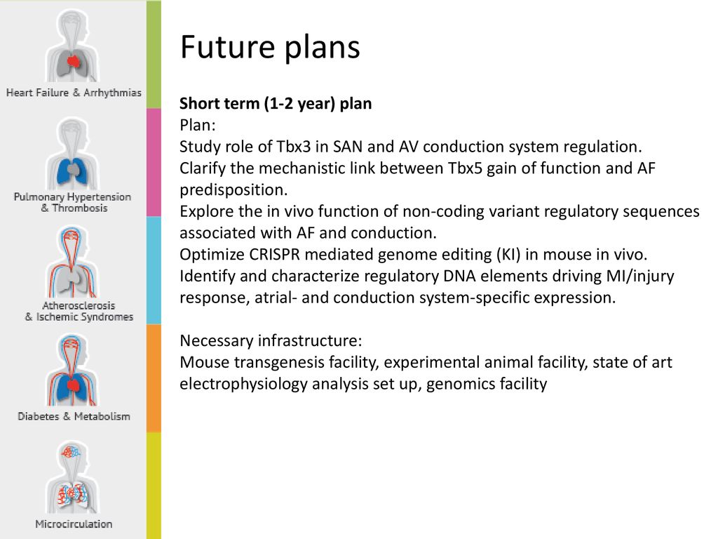 Focus of research group (I) - ppt download