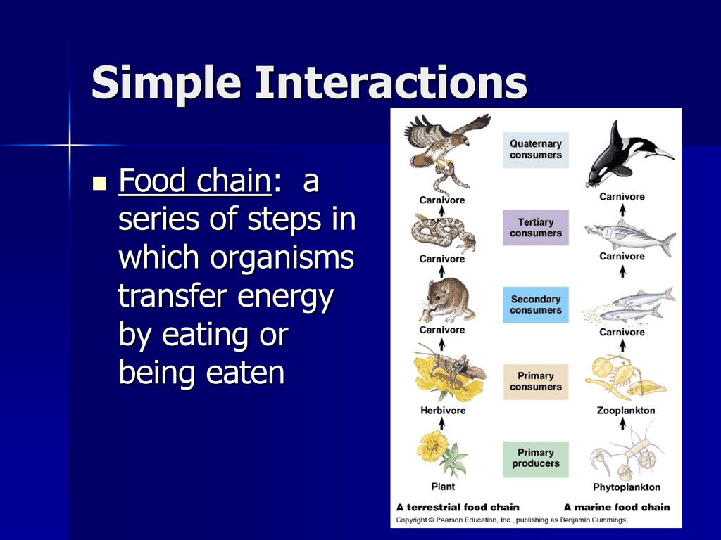Principles of Ecology TSW identify the levels of classification within ... Biology Diagrams