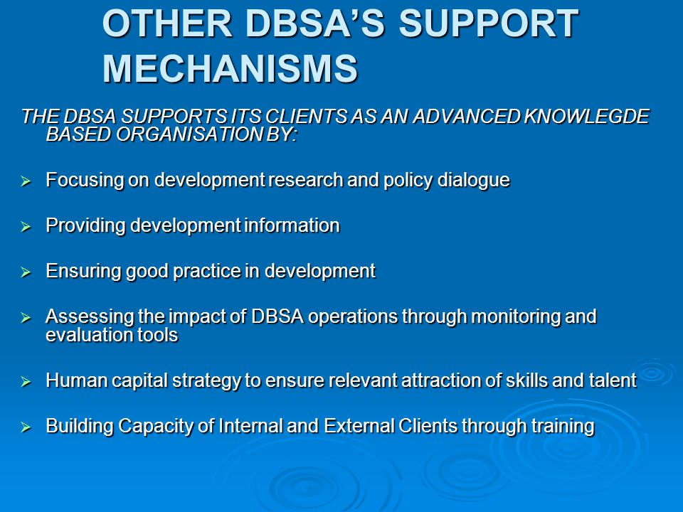 OTHER DBSA’S SUPPORT MECHANISMS